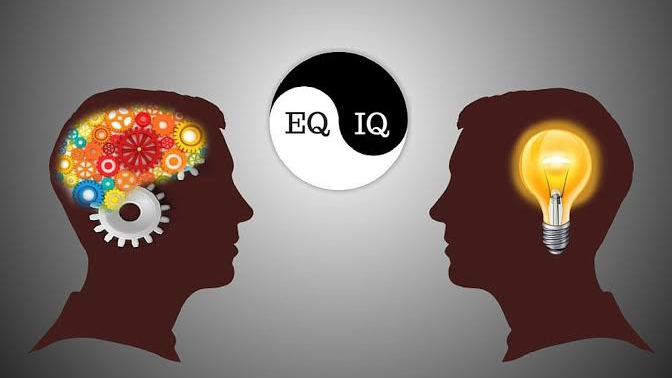 Negara Yang Memiliki IQ Tertinggi di Dunia