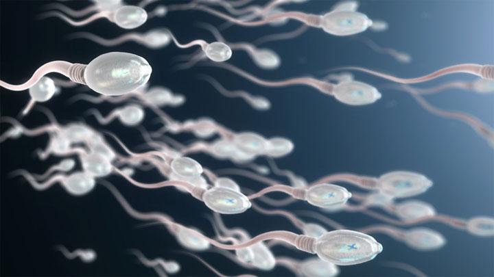 Bagaimana Ciri-Ciri Sperma Sehat? Ini Jawabannya!